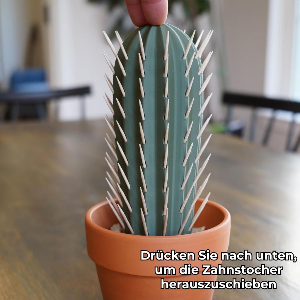 Kaktus-Zahnstocherhalter als Deko-Objekt