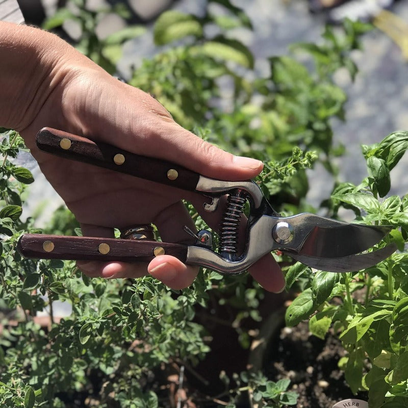 Handgeschmiedete multifunktionale Garten- und Küchenschere